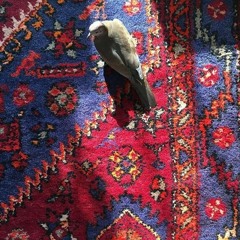 نوای خاک (فولکلور)
