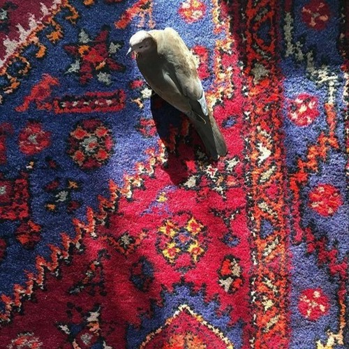 نوای خاک (فولکلور)