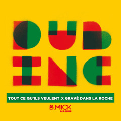 Dub Inc x Sniper - Tout ce qu'ils veulent dans la roche (B.Mick Mashup) ACHETER = FREE DL