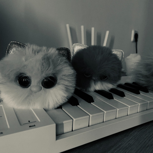 My_BEAT