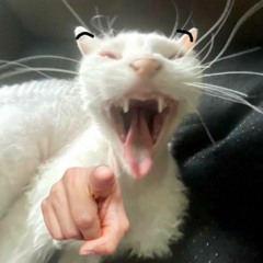 Baile do coqueiro 5.0 (DJ VILÃO DS,DJ WAAN, DJ WOODY ORIGINAL) (slowed)