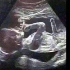 samma gamla vanliga - A36 - COVER