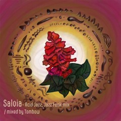 Salvia -Acid Jazz, Jazz Funk- Mixed by Tombow