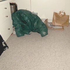 Important Sampler CD w/ Maggie Lee 200123