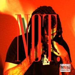 zellyocho - NoT