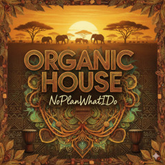 Obsidian Morning Light