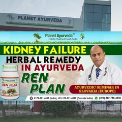 Ren Plan Capsules - Kidney Failure Herbal Remedy