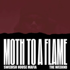 Swedish House Mafia - Moth To A Flame (AJSE Remix)