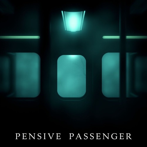 Pensive Passenger