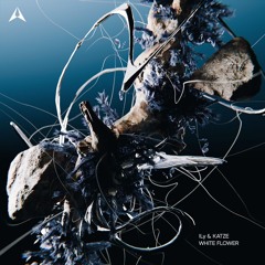 ILy & Katze - White Flower (Original Mix)