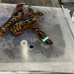 ma belle (prod by rainy boy)