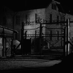 Documentary Film and the Holocaust