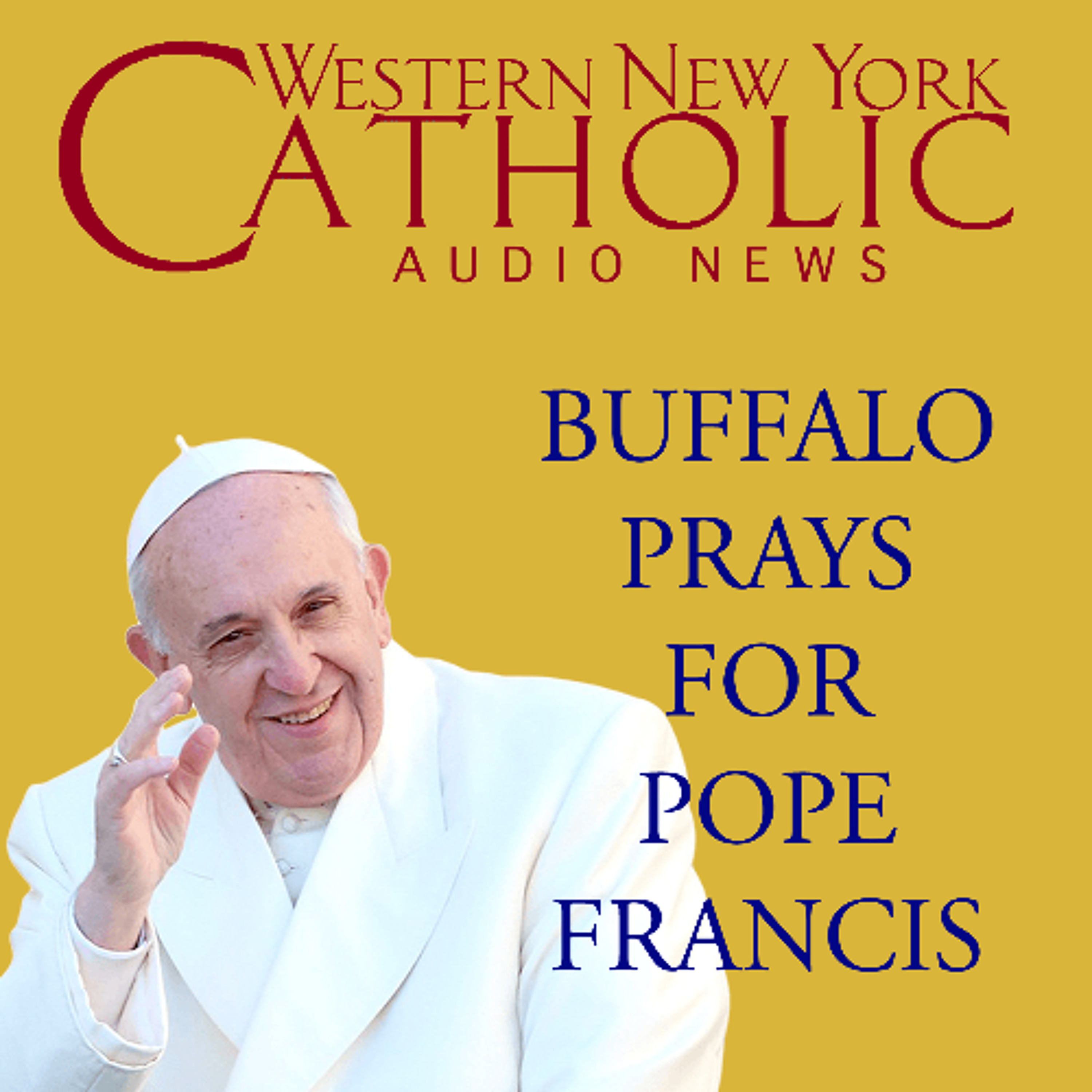 SPECIAL - February 25, 2025 - Bishop Fisher's Homily at Mass for Pope Francis episode artwork