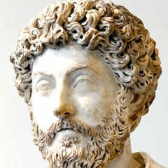 Marcus Aurelius, Meditations - Injustice, Sinning, And Universal Nature - Sadler's Lectures