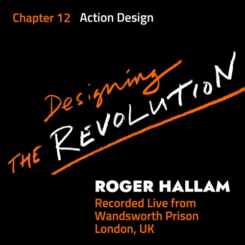 Stream Designing the Revolution | Chapter 12 | Action Design by Roger ...
