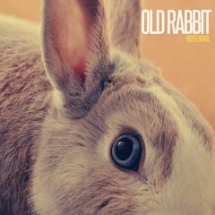 Old Rabbit