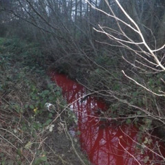 clutch prod ru & 800pts