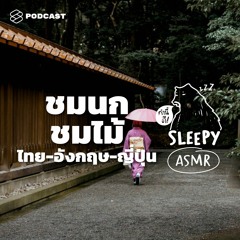 คำนี้ดี SLEEPY EP.21 ASMR | ชมนก ชมไม้: ไทย-อังกฤษ-ญี่ปุ่น (Japan Rain Forest V.)