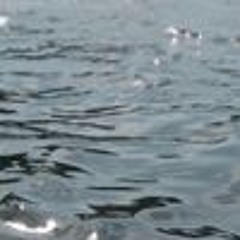 Mon Élément (Vöga+Chorale Remix)