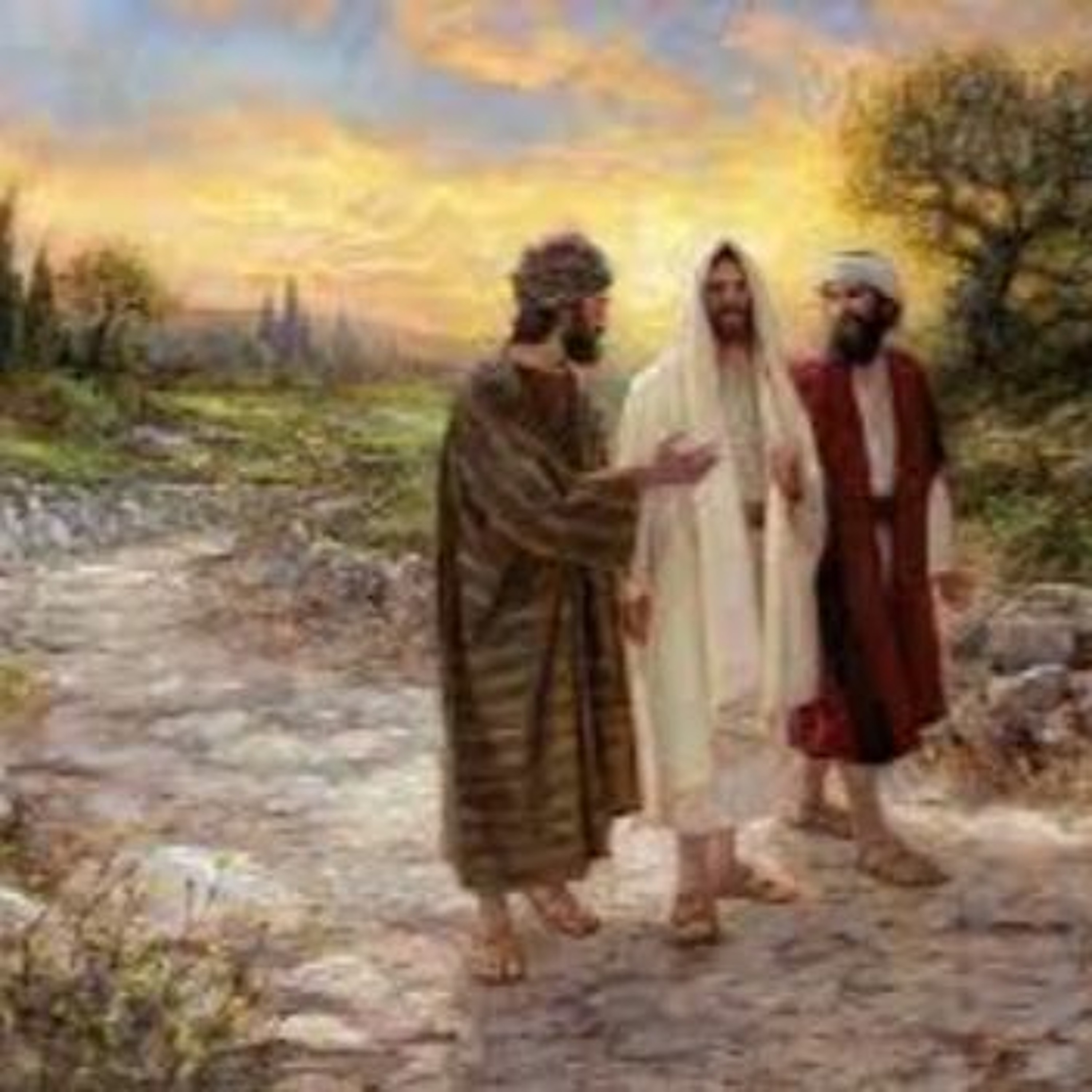 Christ Church NC\'s Sermon Series