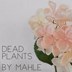 Dead Plants