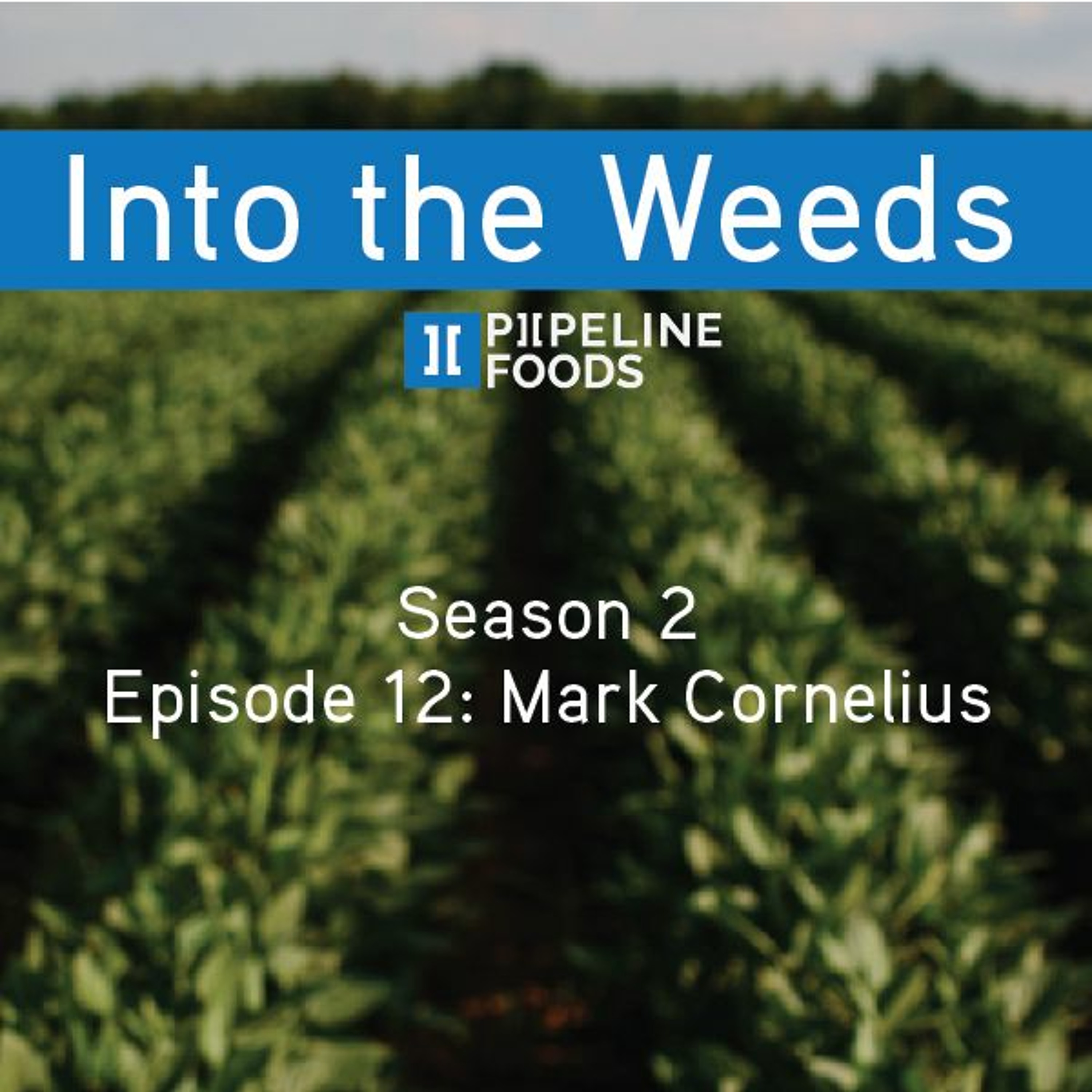 Season 2, Episode 12: Mark Cornelius episode artwork