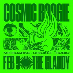 Mr Roarke Live at Cosmic Boogie 0902
