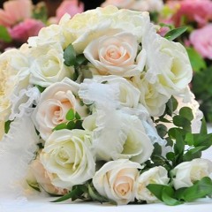 The Way ～ふたりの道～／AIめろう & AIナクモ（NEUTRINO）