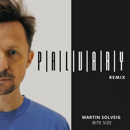 MARTIN SOLVEIG - Bite Size (Palvary Remix)
