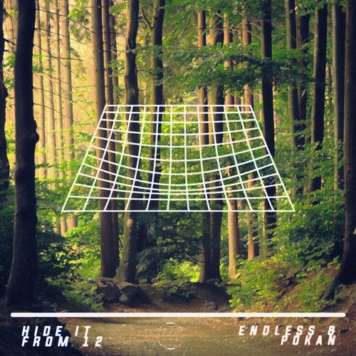 Hide It From 12 [Endless and Pokan bootleg]