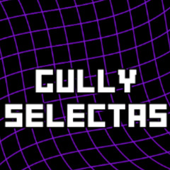 Introducing Gully Selectas | B2B Business!