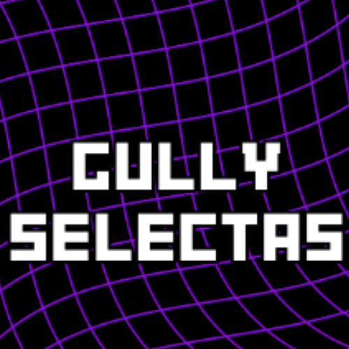 Introducing Gully Selectas | B2B Business!