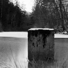 Transience