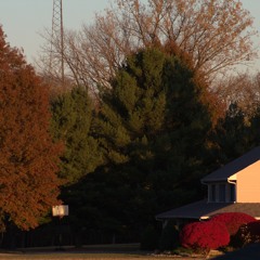 : still wish you had stayed