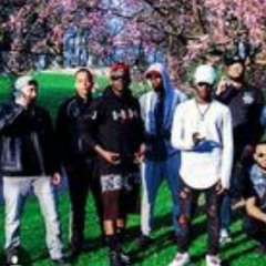 B.N.XcDISAcRICKFLVIR