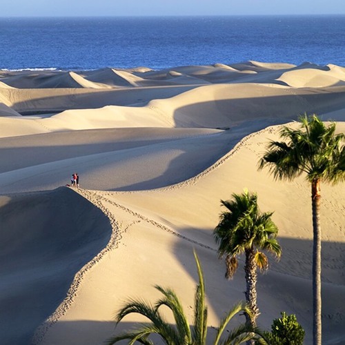 November 21 (from Maspalomas Sand Dunes/ Las Palmas, Spain)