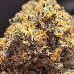 Paradise (Jkush Mix)