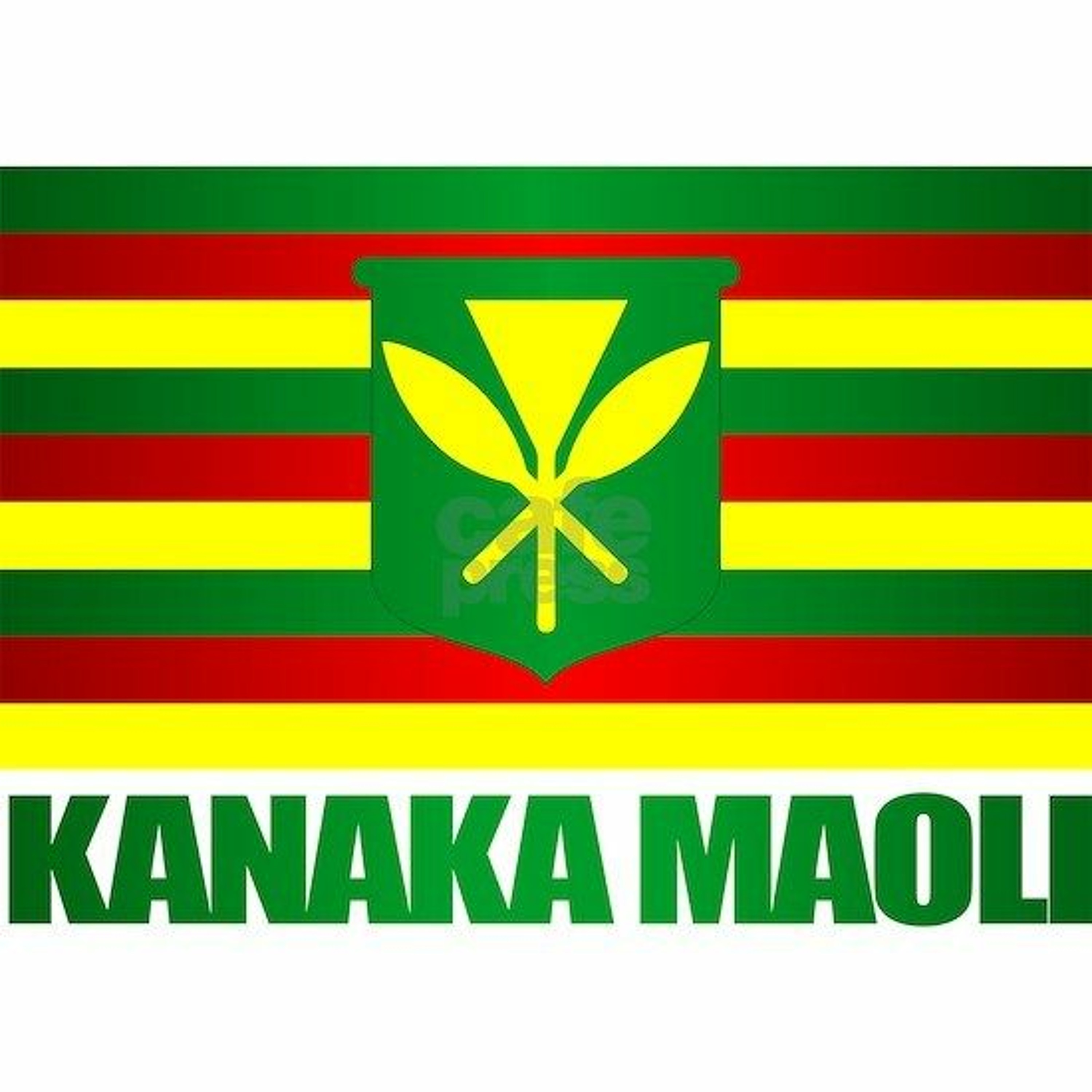 The Lahaina Fires, Toxic Waste Removal & Pollution in Olowahu, and Defending Sacred Sites