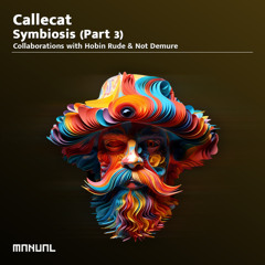 Callecat & Hobin Rude - Infinite Enclosure