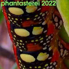 phantasterei 2022