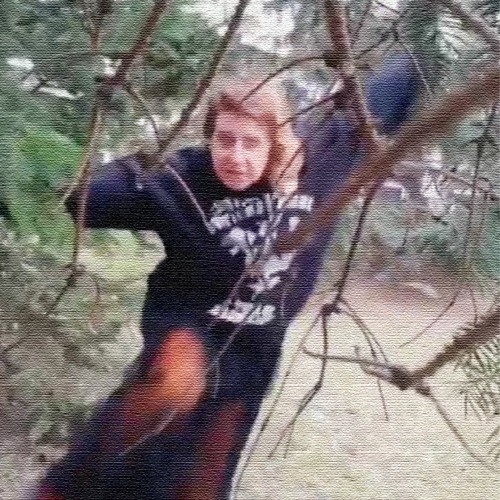 Stream Interprétation de "Danse de forêt" de Josiane P. par l'Esprit de