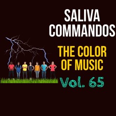 The Color Of Music Vol. 65