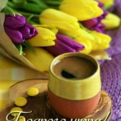Здоровье