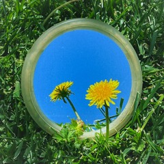 Totally Enormous Extinct Dinosaurs - Persuasion (Niles Remix)