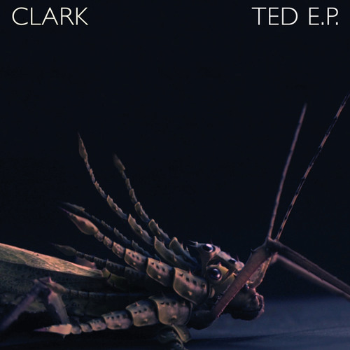 Ted E.P.