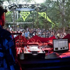 Set Bosque , Pantano de noche