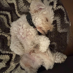 dj audge // everything is romantic x space song / bad boy x swimming pools / oblivion x fukk sleep / opium x afterthought / better off alone x play hard