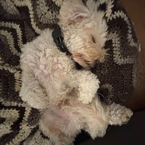 dj audge // everything is romantic x space song / bad boy x swimming pools / oblivion x fukk sleep / opium x afterthought / better off alone x play hard