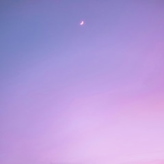 Winter/Pink