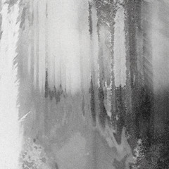 Piano Sonata No. 4, "Chemical Gardens"